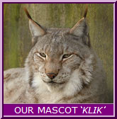 mascot