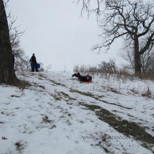 IMG_3222