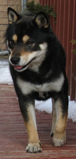 Oscar