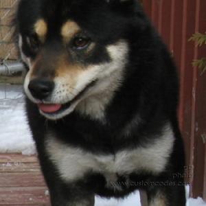 Oscar