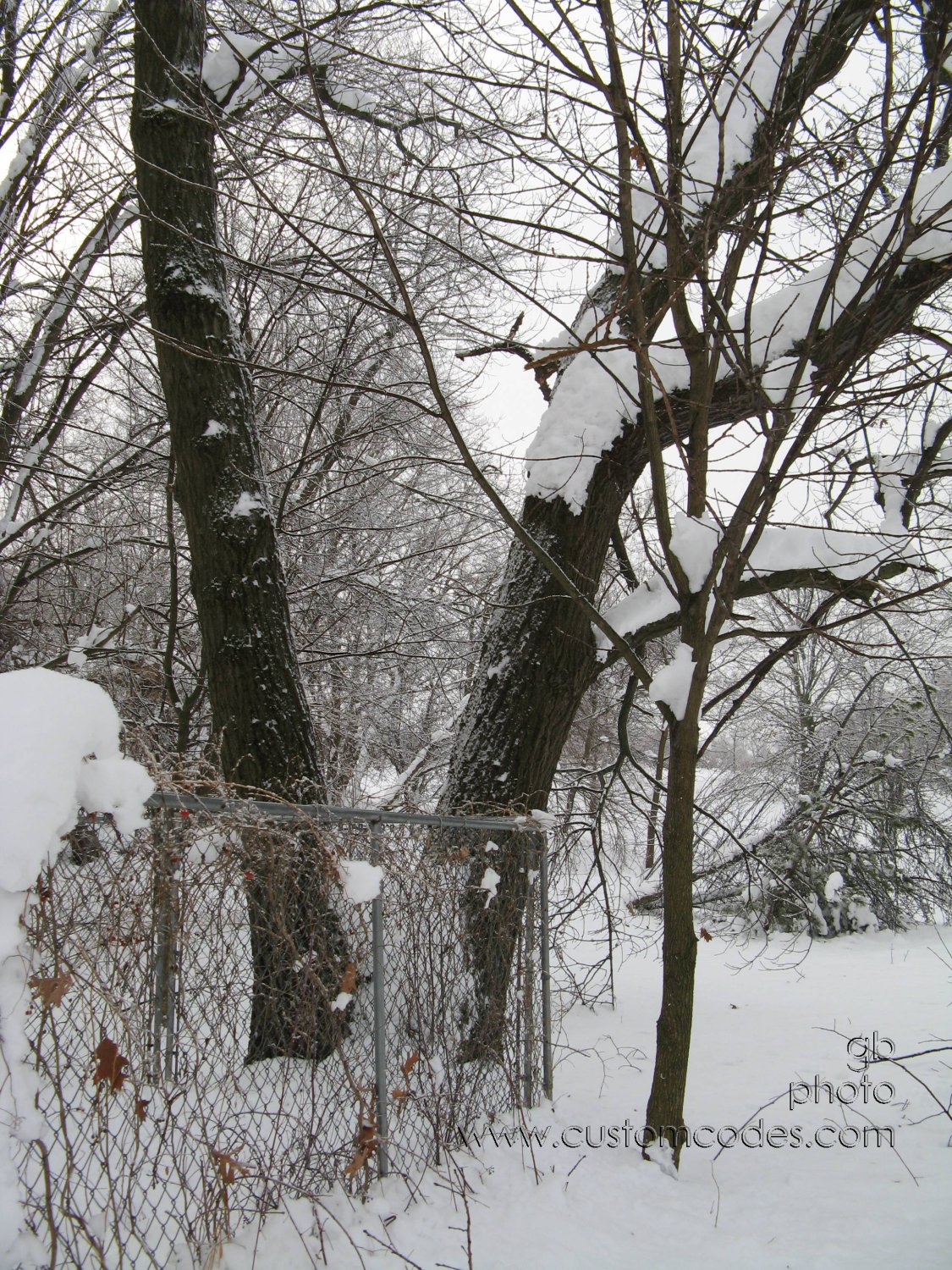 20091213_TwinOaks_r
