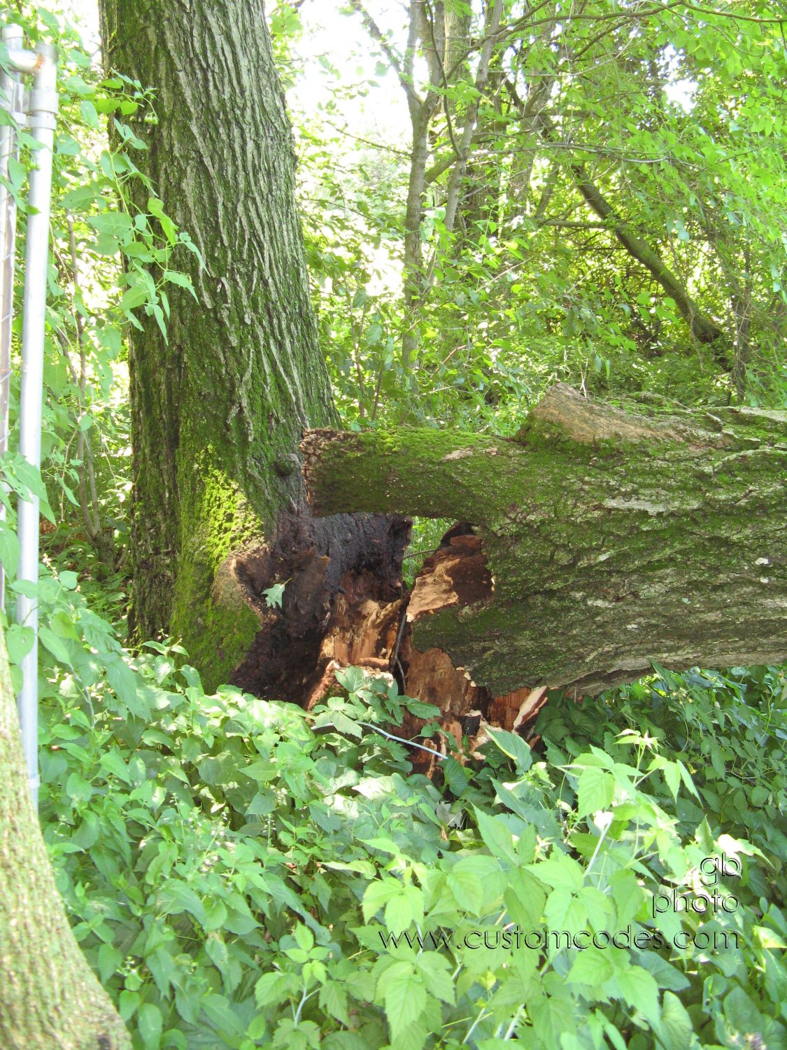 20100626_OaksBrokenBase