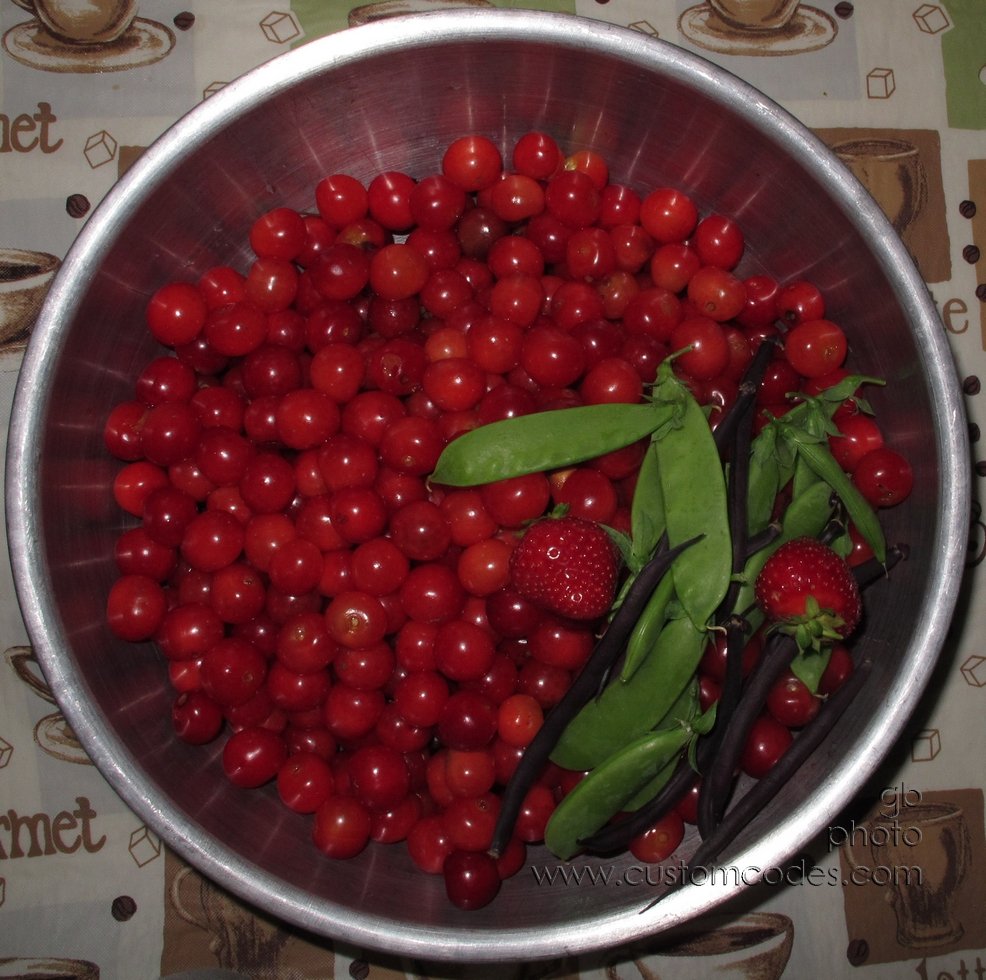 cherries_20130709