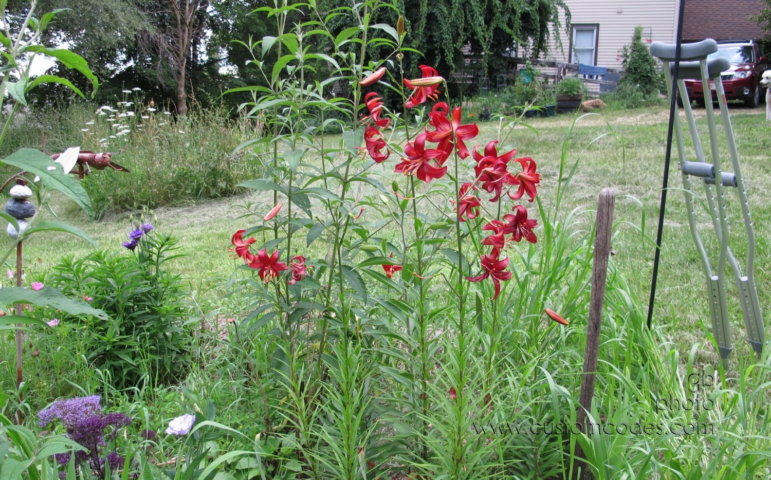 Moms_lillies_201300721