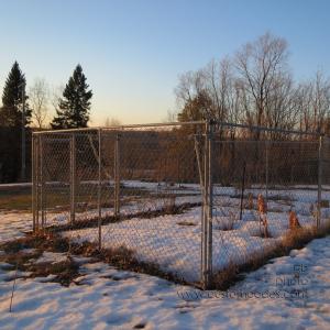 garden_20130401
