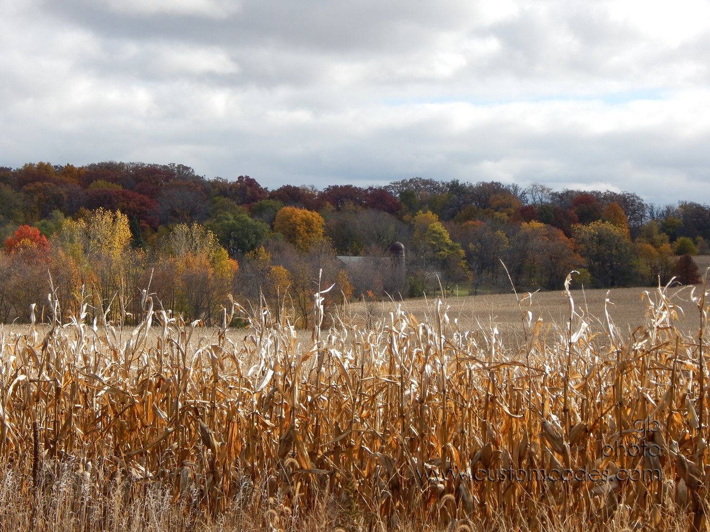 B4TheHarvest_20141018