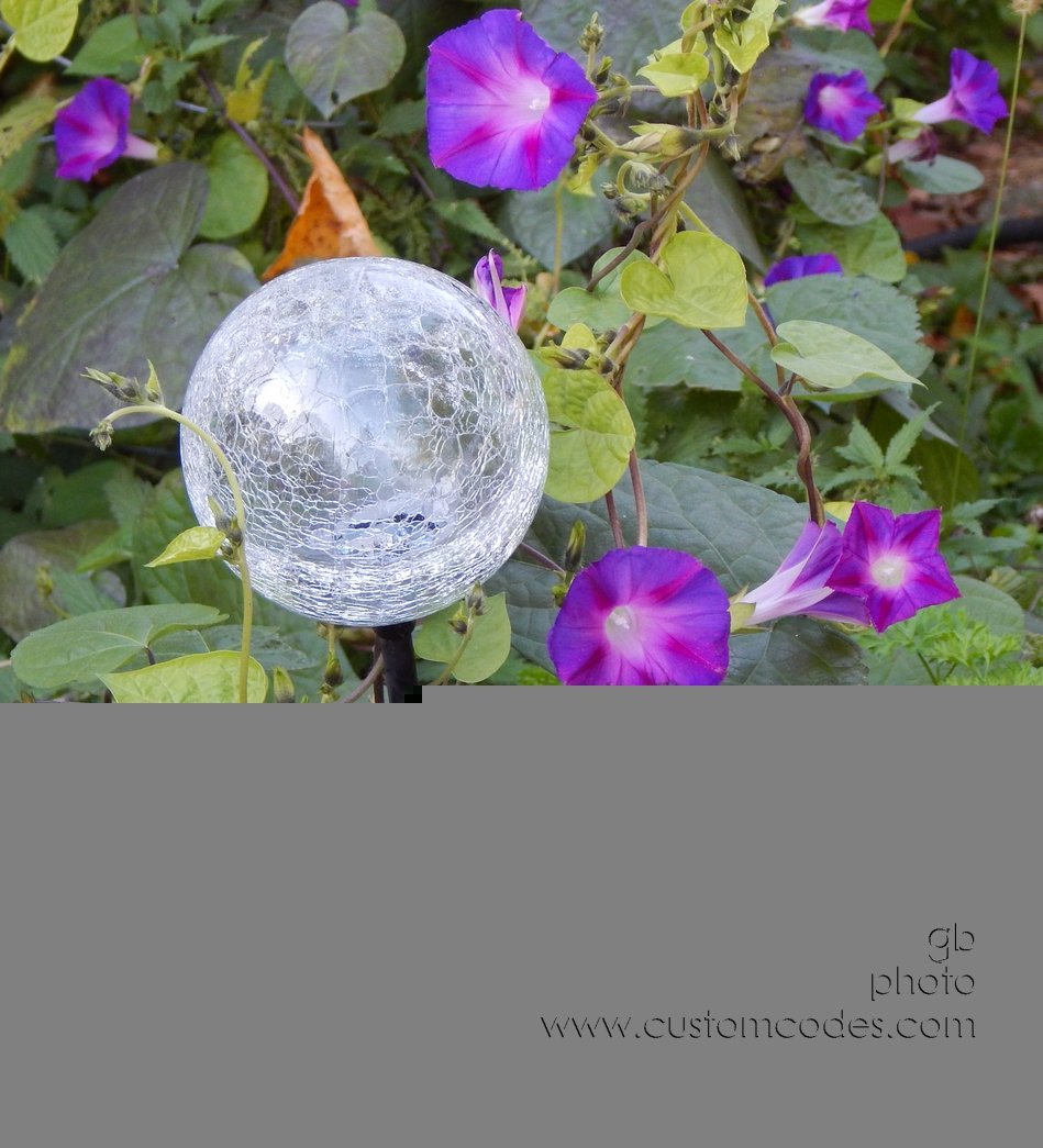 Globe_20141018