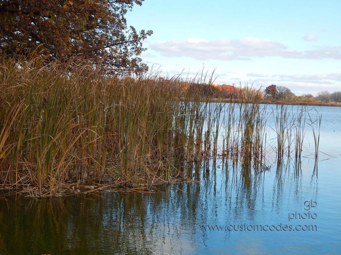 NorthPortDogPark_20141018jpg