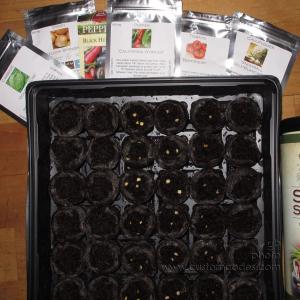 GardenSeeds_20160410