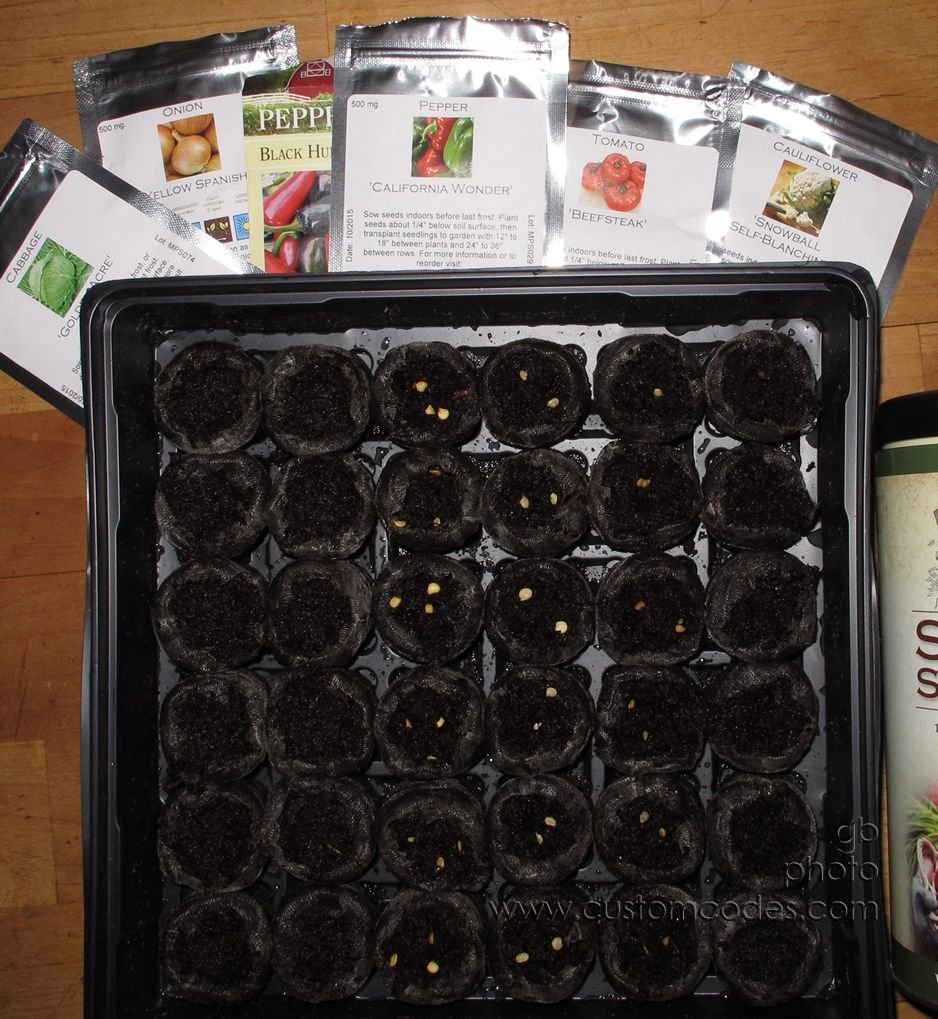 GardenSeeds_20160410