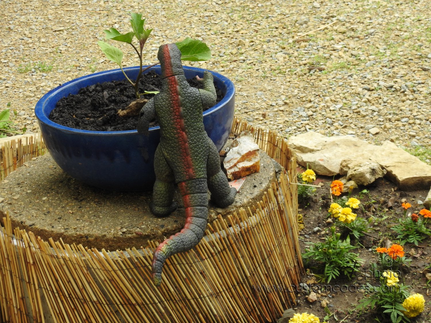 GodzillaLikesEggplant_20180520