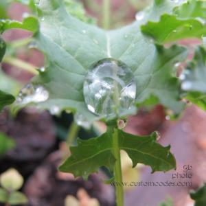 Droplet_20180504