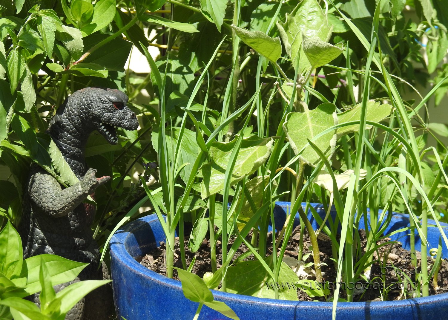 GardenGuardian_20180718