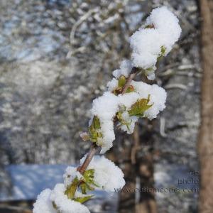 SpringHats-20190428