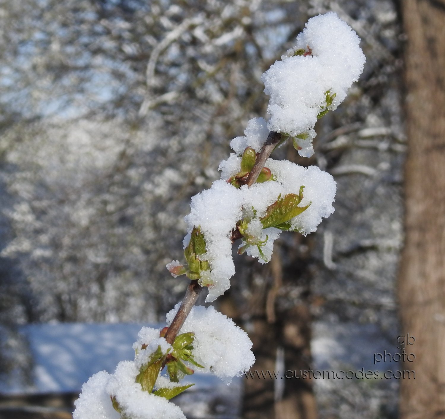 SpringHats-20190428
