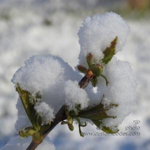 SpringHats2-20190428