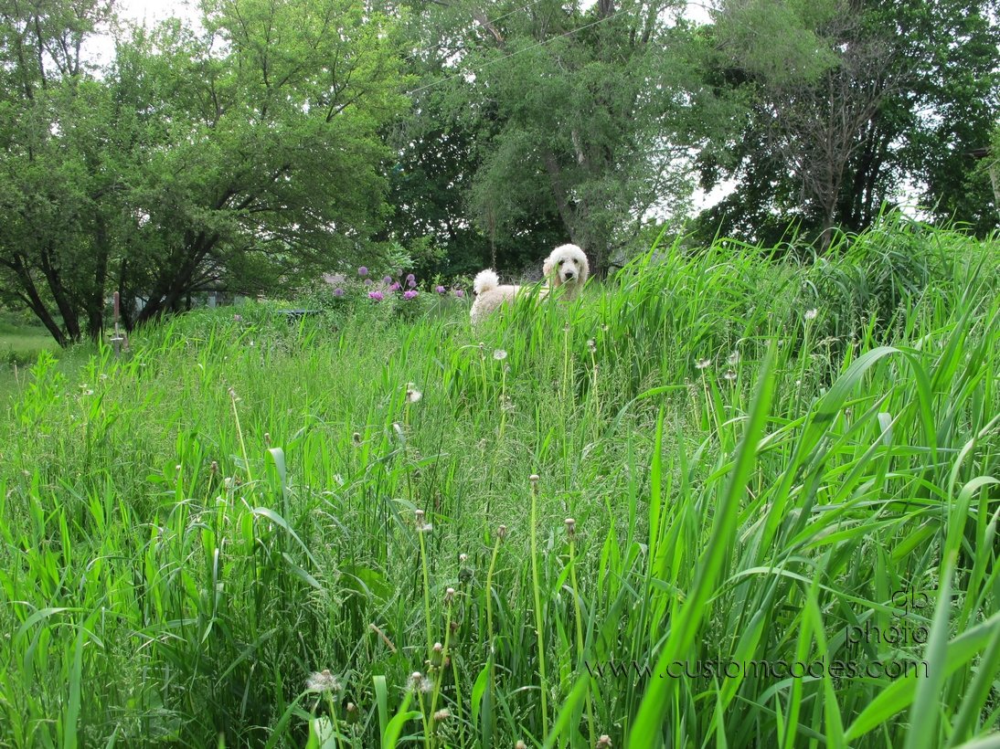 time2mow_20110530