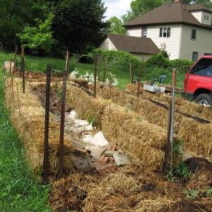 gardenWeek2
