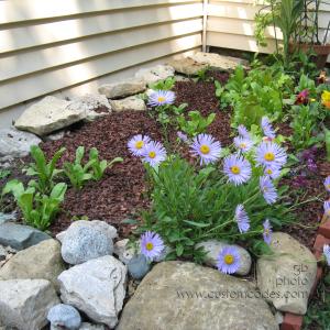 southEastFlowerBed