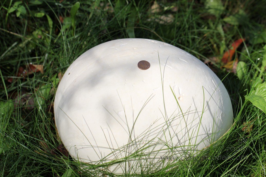puffballWithPenny
