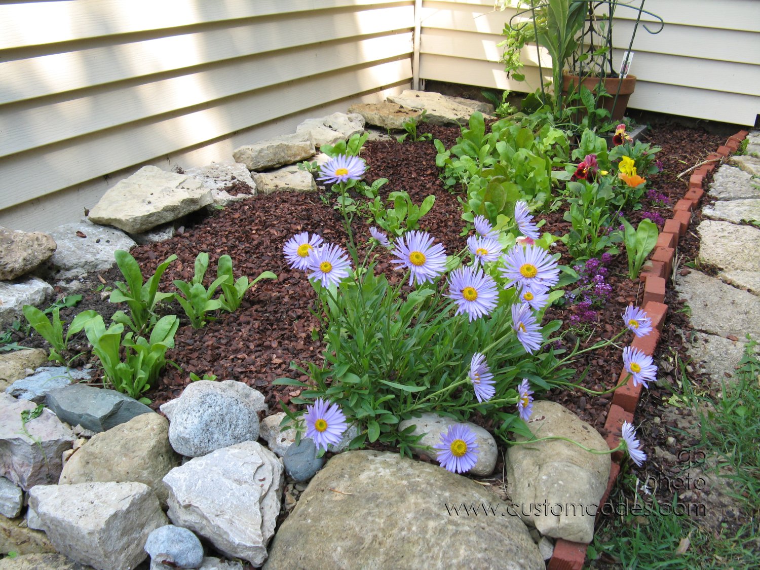 southEastFlowerBed
