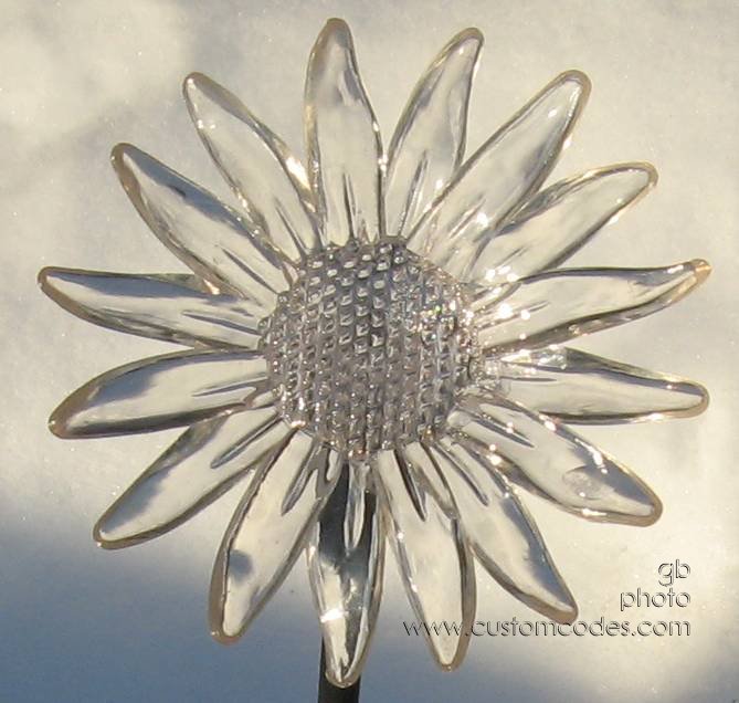 winterSunflower