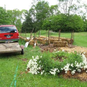 mulched