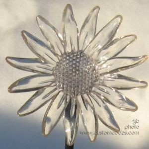 winterSunflower