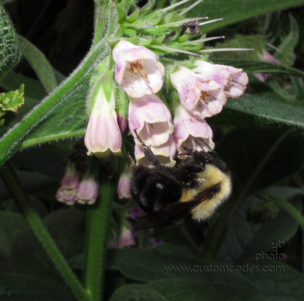 eveningSnackTime_20120512_2