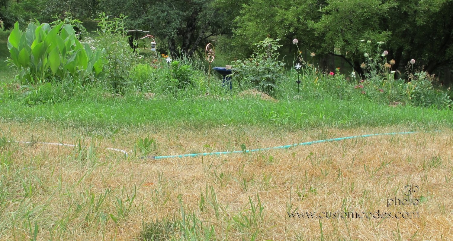 oasis_20120707