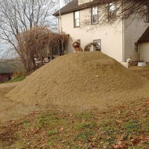 TopOfTheHill-20151116