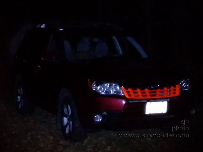 Subaru_Grill-20151101