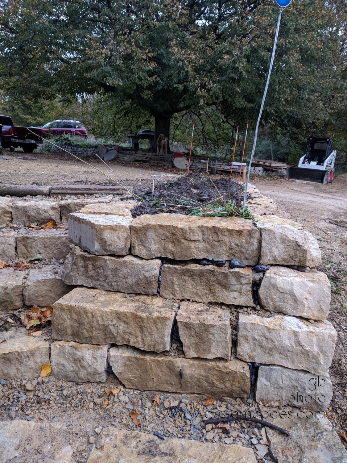 20171029_Wall-PondGoo