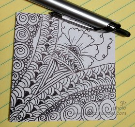 20170317-unzipped
