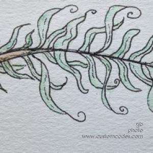 Frond_20180210