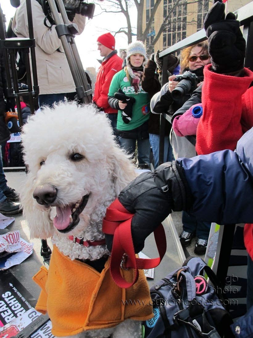 Elwood_smiling_20110312