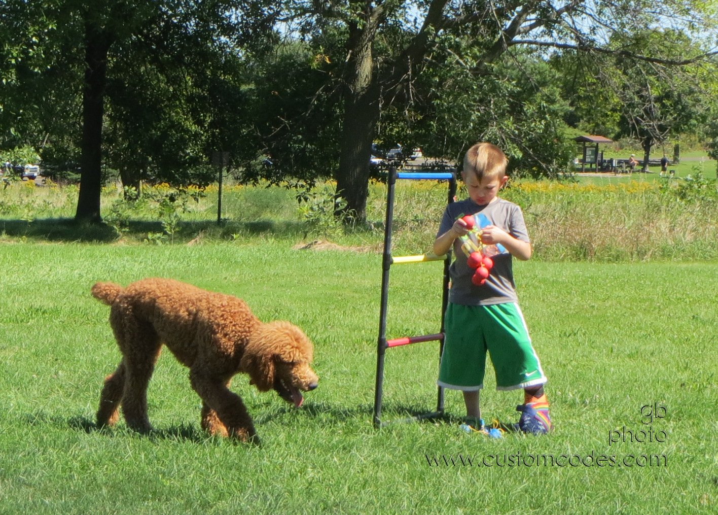 TokenCreek_20140906_5