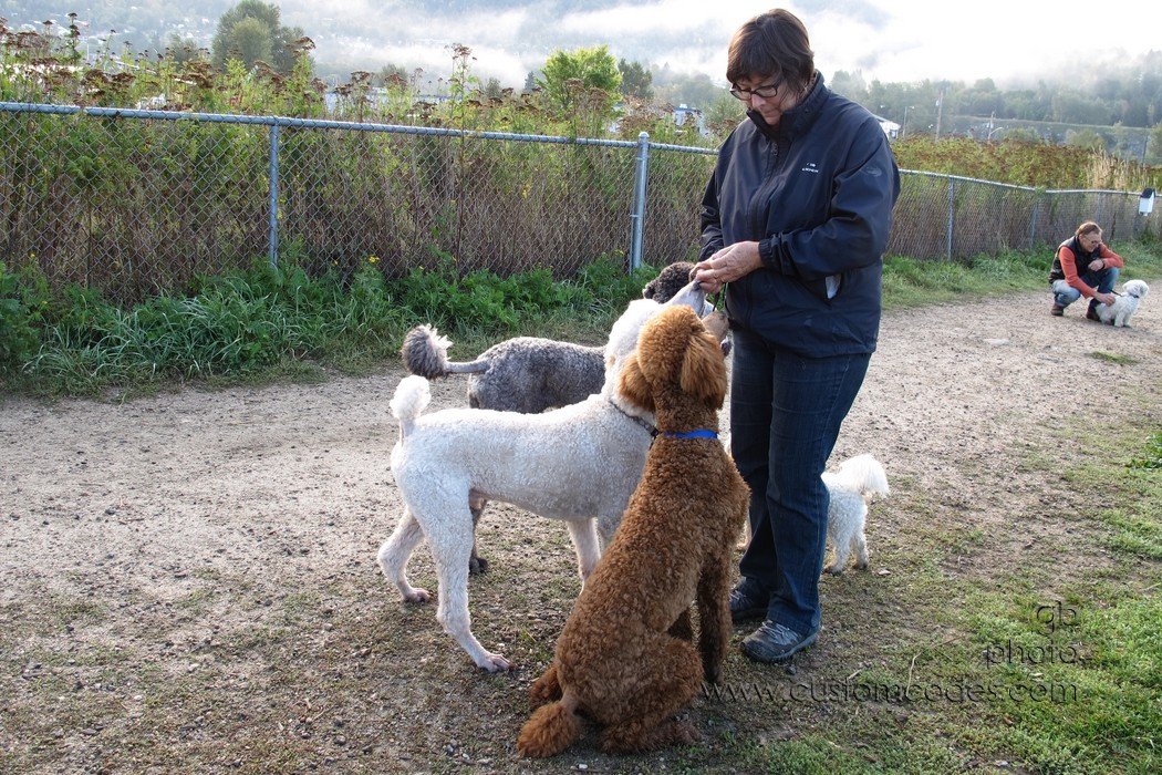 DogPark_2