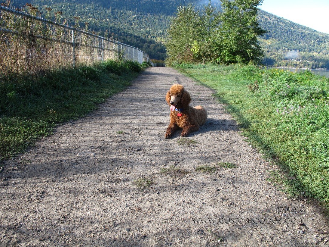 CiCochNelsonDogPark_2014