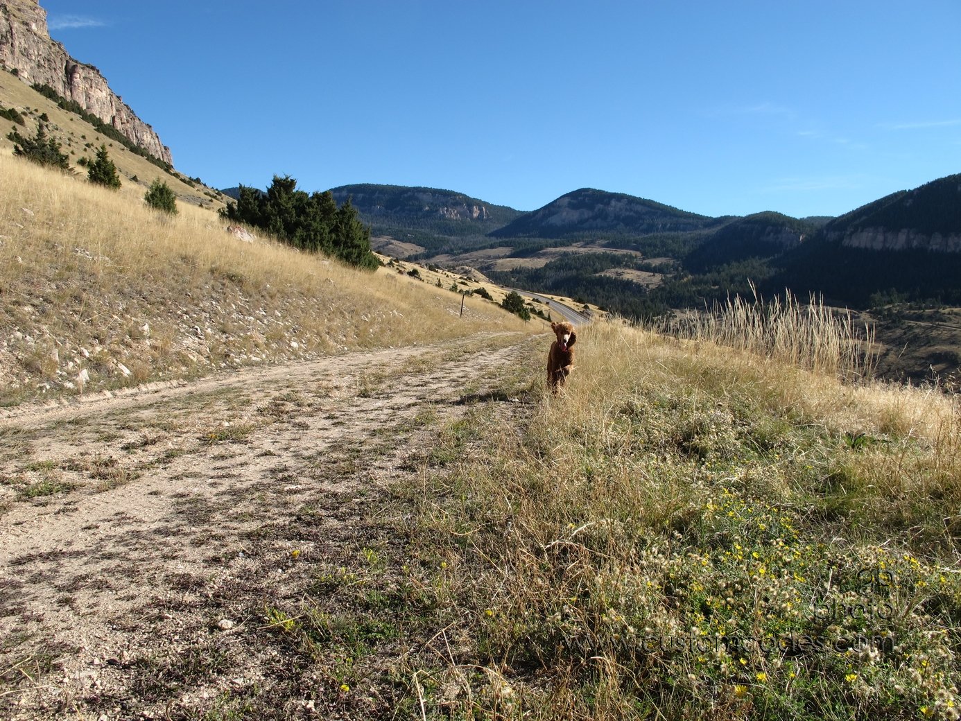BigHornMountainRunOff_CiCoch