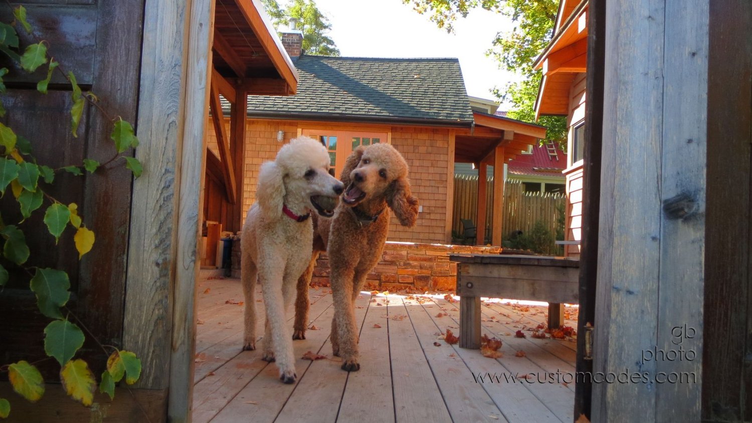 BestBuds-20150929