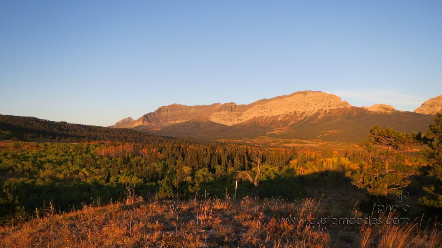 MT-MorningLight_20150923