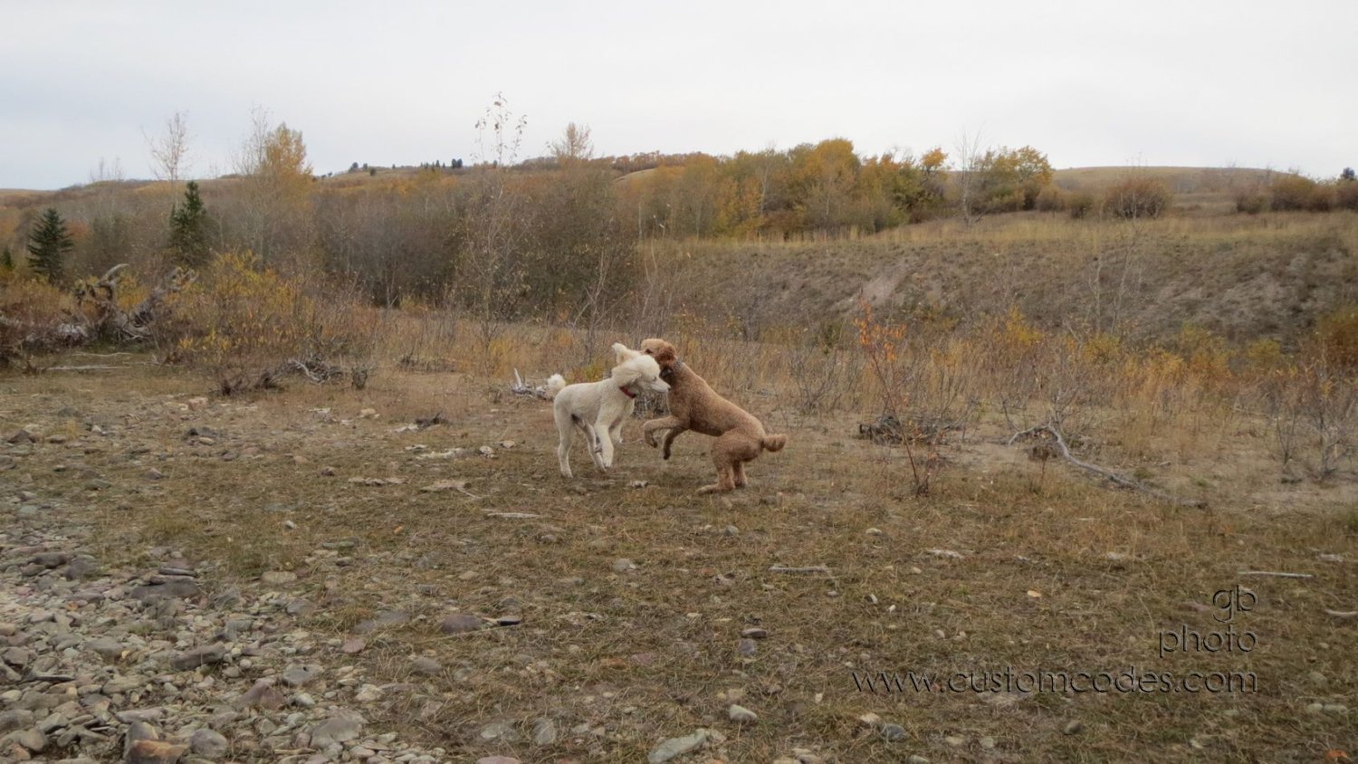 2MediceneRiver_morningRomp_20151001