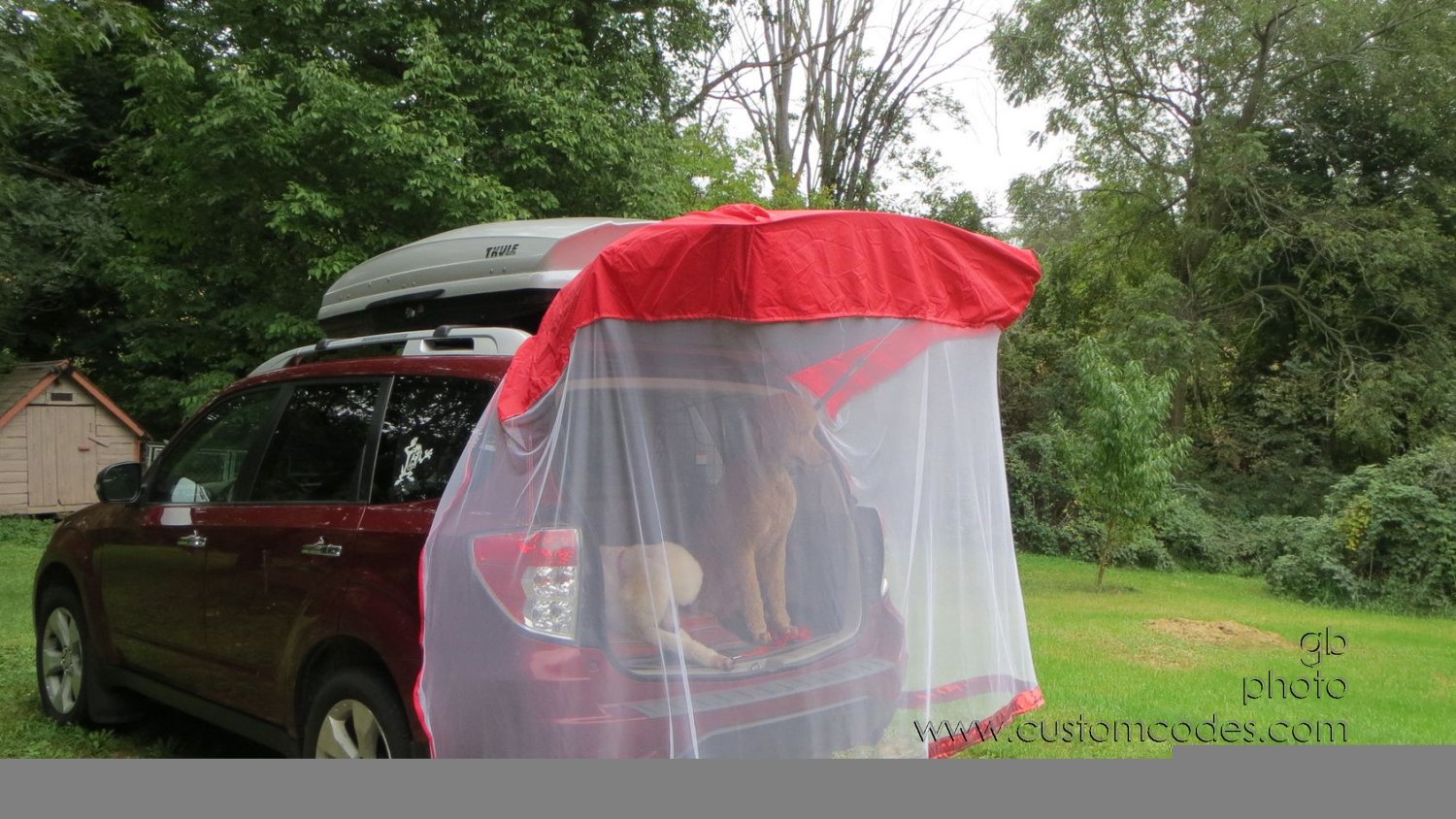 pupTent_20150918