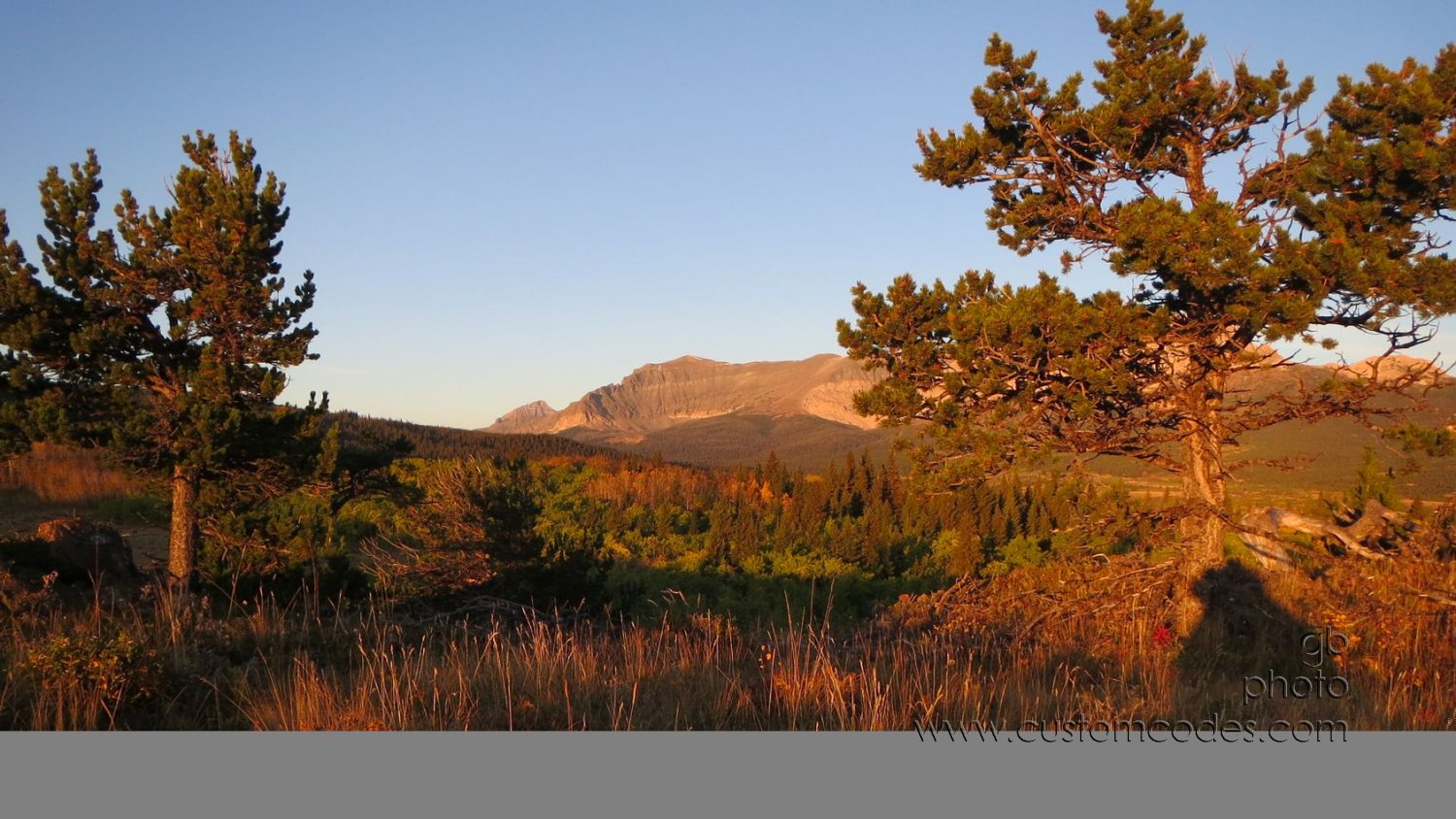 MontanaMorningLight_20150923