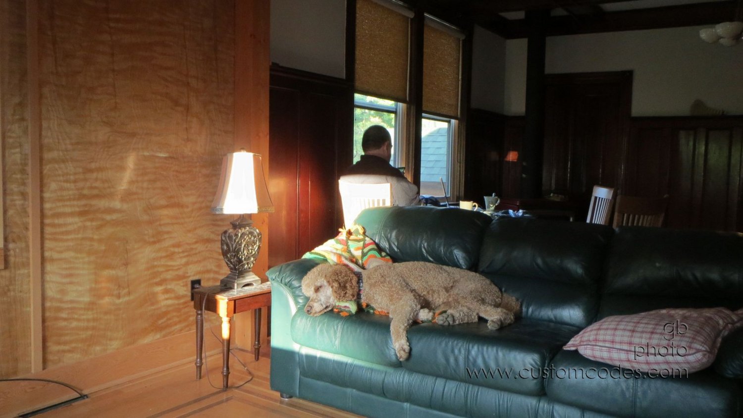 zonked_20150924