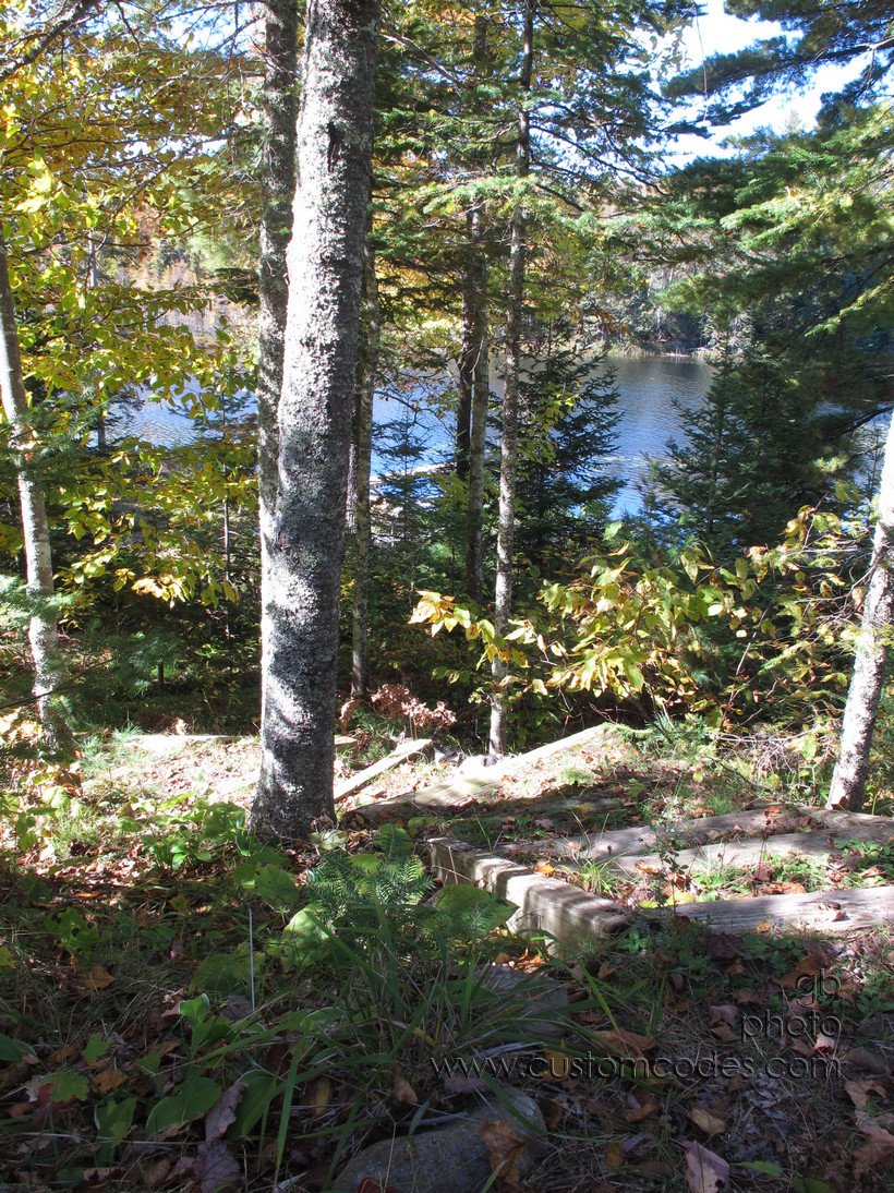 TakingTheStairs_20161002