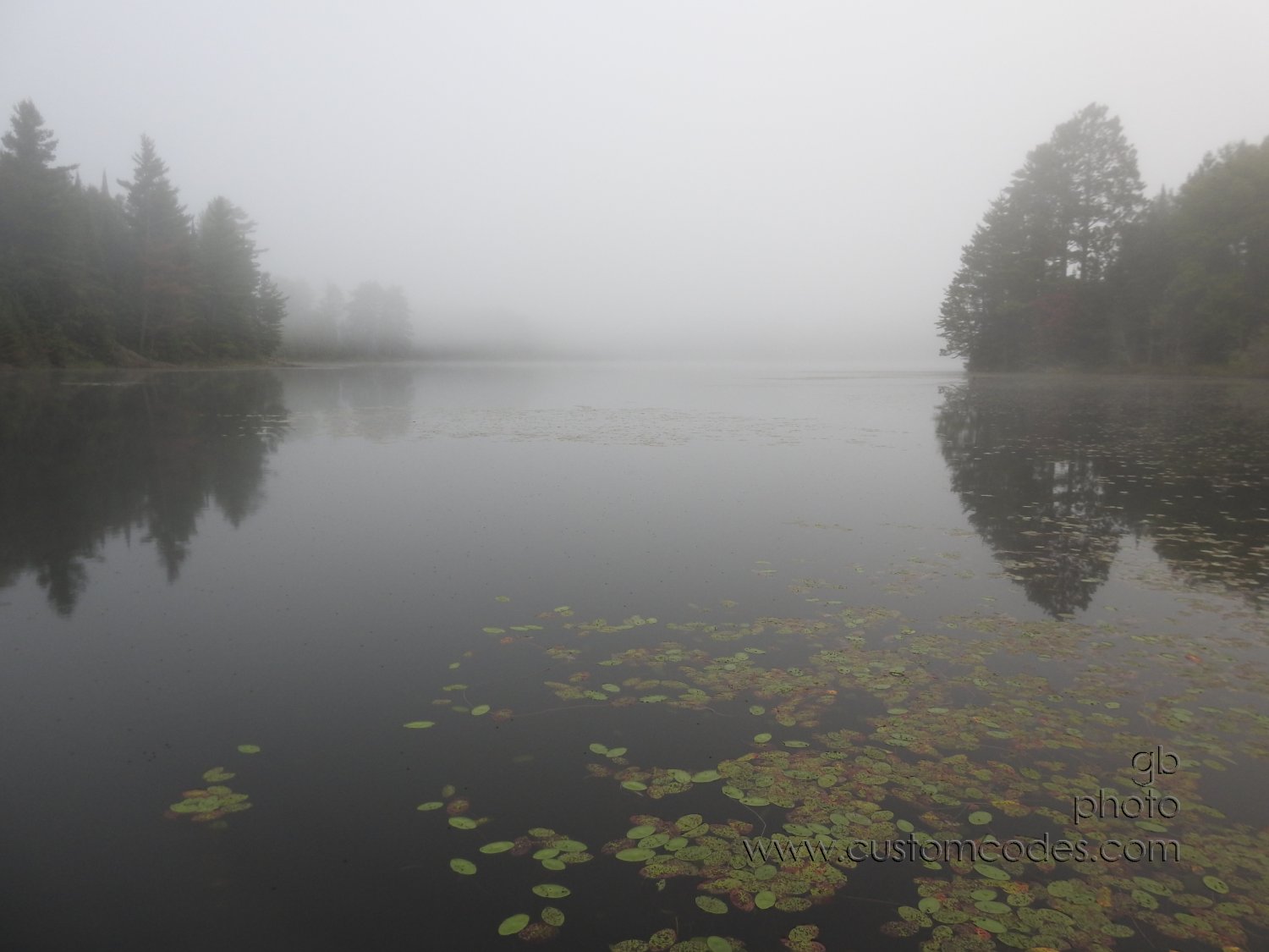 20170829_foggyMorning