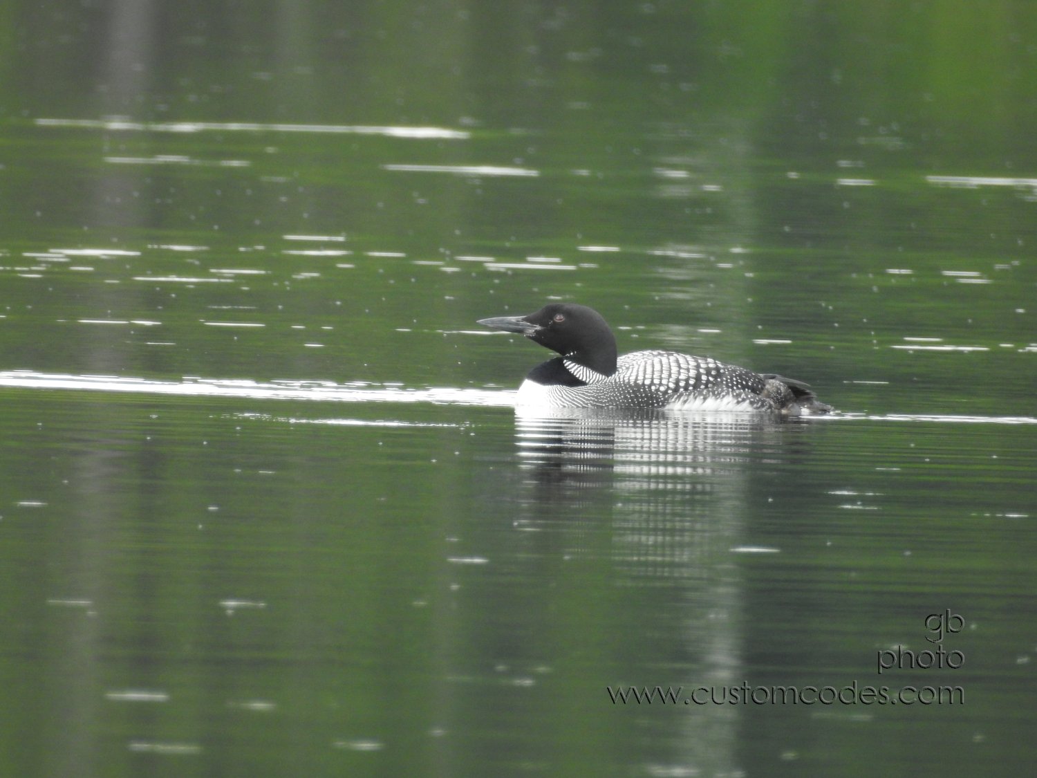 20170829_Loon2North-L