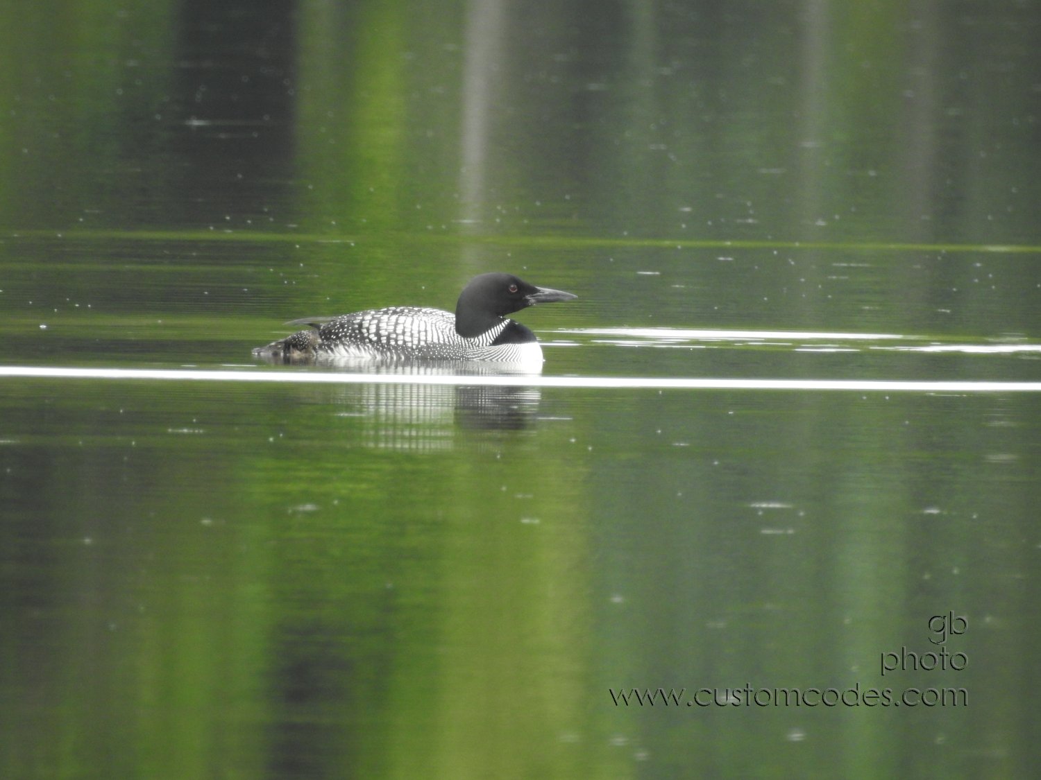 20170829_Loon2North-R